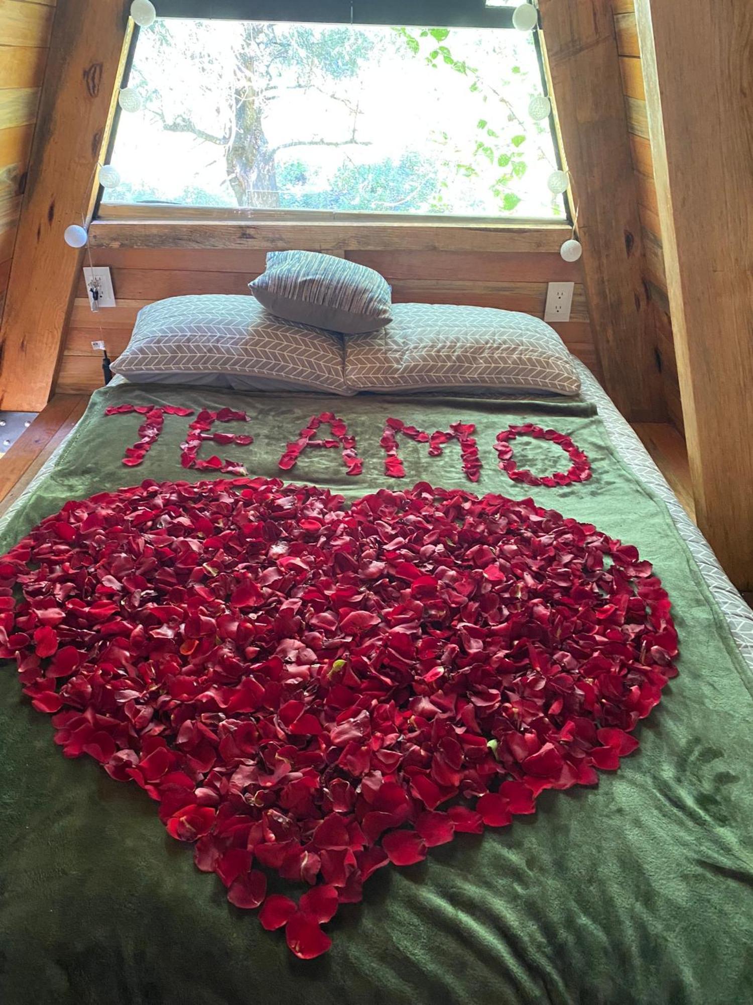Cabanas Alpina, Romantica Y Acogedora A 10 Minutos Del Centro Tepoztlán Exteriör bild