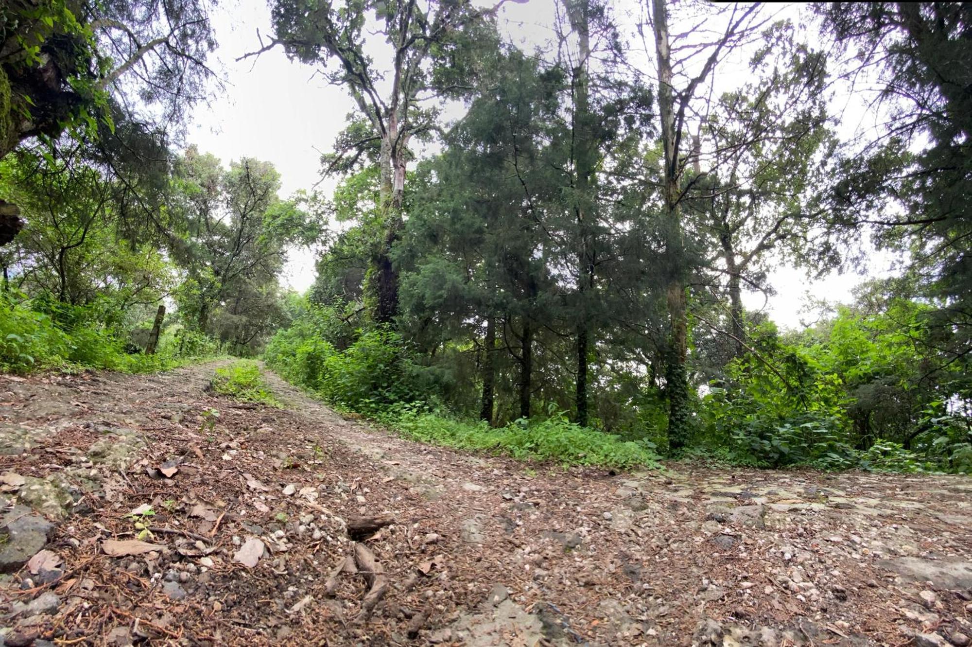 Cabanas Alpina, Romantica Y Acogedora A 10 Minutos Del Centro Tepoztlán Exteriör bild